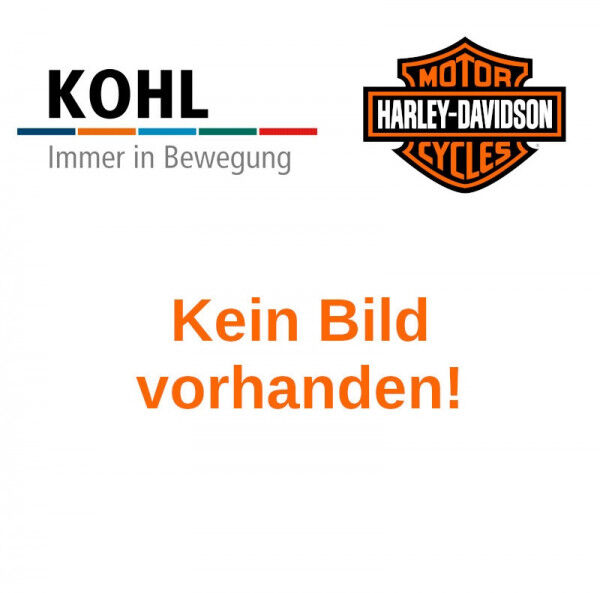 Harley Davidson Splitstream Luftkanalverzierung - Batwing Verkleidung 61300461DZS