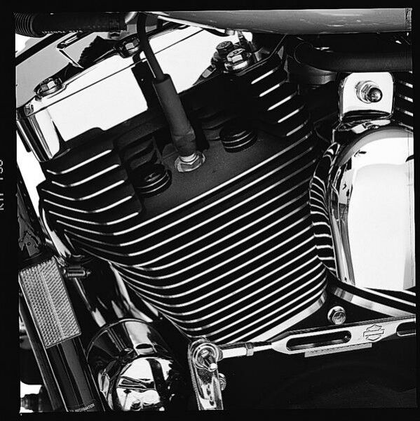 Harley-Davidson BOLZENABDECKUNGEN FÜR ZYLINDERKOPF - SCHWARZGLÄNZEND 43896-99
