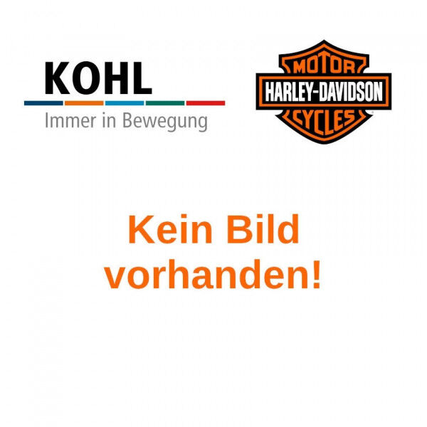 Harley-Davidson HARLEY-DAVIDSON ORIGINAL-LUFTFILTERELEMENTE 29462-99