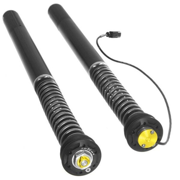 Touratech Suspension Cartridge Plug&Travel für BMW R1250RS (2018-)