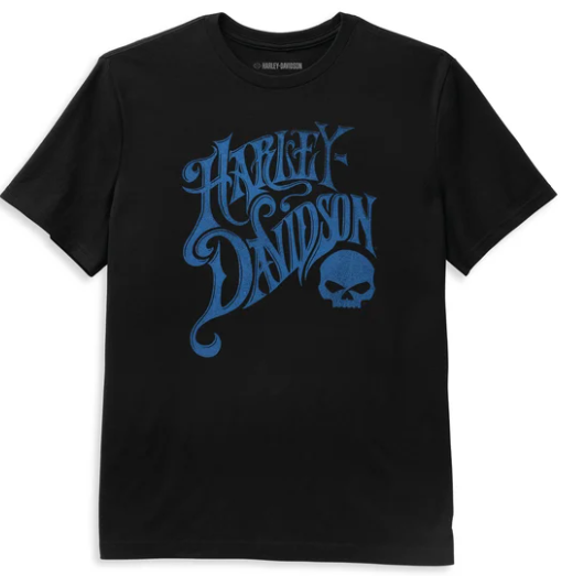 Harley-Davidson Skull T-Shirt für Herren 96342-22VM