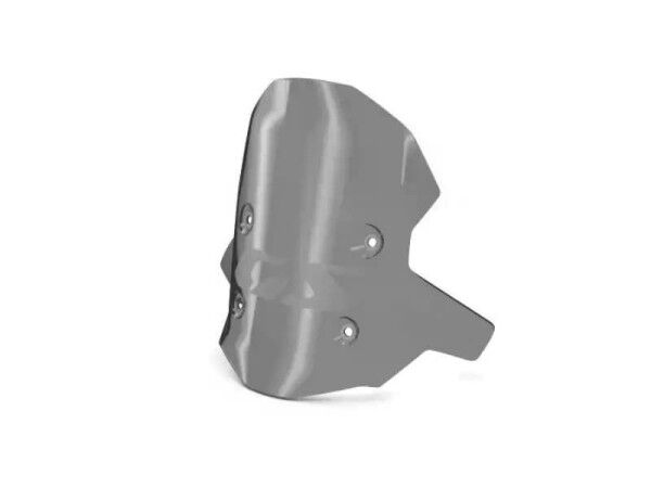 BMW Motorrad F900GS Windschild