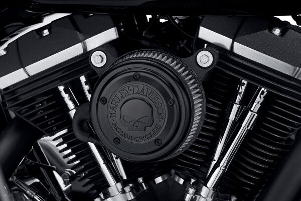 Harley-Davidson WILLIE G™ SKULL KOLLEKTION - SCHWARZ - LUFTFILTER-ZIERBLENDE 29400366