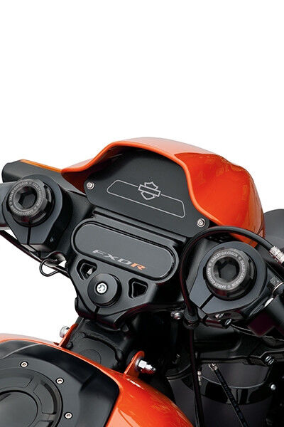 Harley-Davidson FXDRS ZIER-FÜLLPLATTE FÜR DIE ANZEIGE 61301141