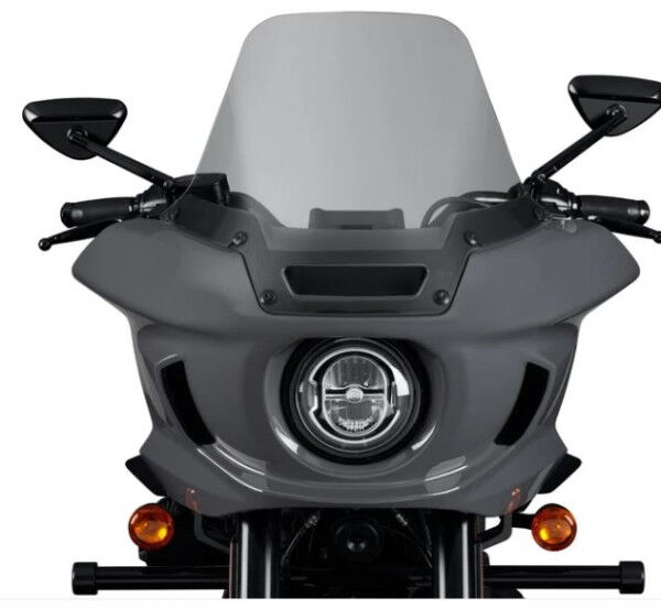 Harley Davidson Leicht getönter 25,4 cm Windschild